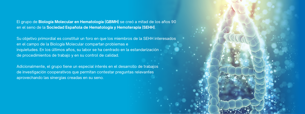 GBMH-BANNER-1198X449-HOME
